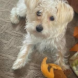 Meet your Posher, Margaret